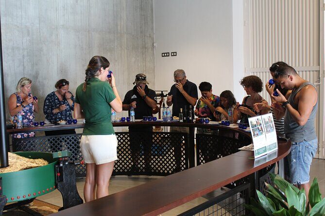 Guided tour and olive oil tasting in Alhaurin el Grande (Málaga) - A Guide to the Olive Oil Tour in Alhaurin el Grande