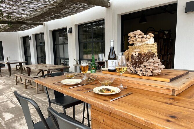 Guided tour and tasting in mushroom cultivation - Menorca’s Hidden Gem: Mushroom Cultivation Tour and Tasting