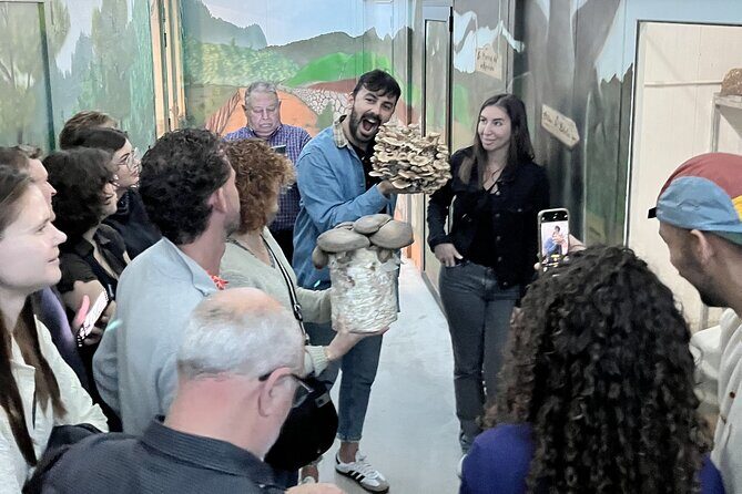 Guided tour and tasting in mushroom cultivation - The Sum Up