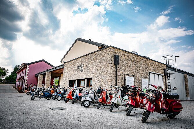 Guided Tour and wine tasting 5 wines to discover the Conegliano Valdobbiadene - Key Points