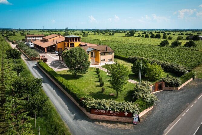 Guided Tour and Wine Tasting in the Sandro De Bruno Winery - A Closer Look: What to Expect During Your Visit