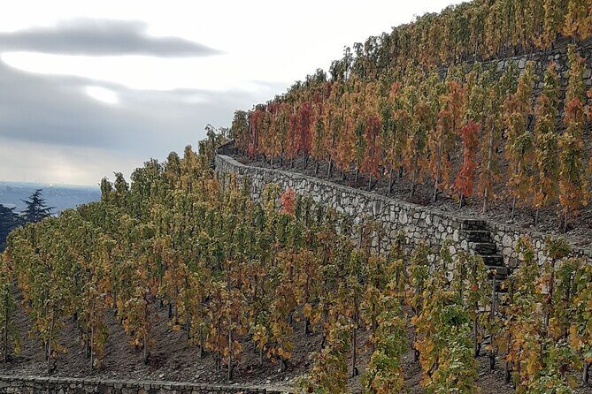 Guided tour and wine tasting Northern Rhône Valley - Frequently Asked Questions