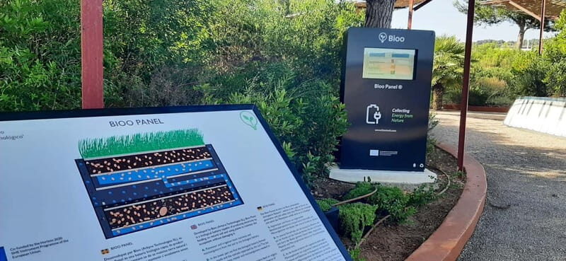 Guided Tour at BiBo Park: Ibiza's Biotech Botanical Garden - A Deep Dive into the Experience at BiBo Park