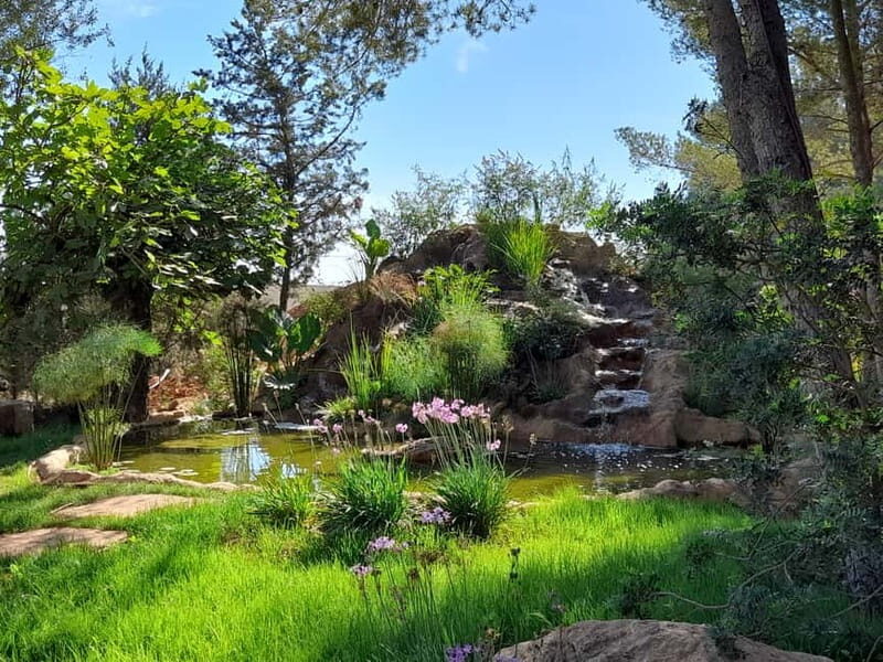 Guided Tour at BiBo Park: Ibiza's Biotech Botanical Garden - FAQs