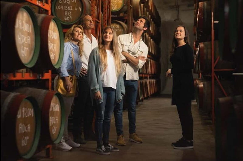 Guided Tour at Ron Arehucas Distillery - The Sum Up