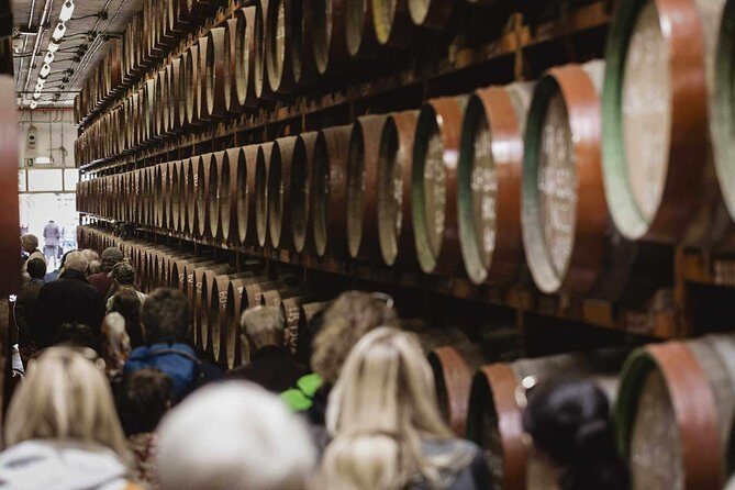 Guided Tour at Ron Arehucas Distillery - Exploring the Arehucas Rum Distillery Tour on Gran Canaria