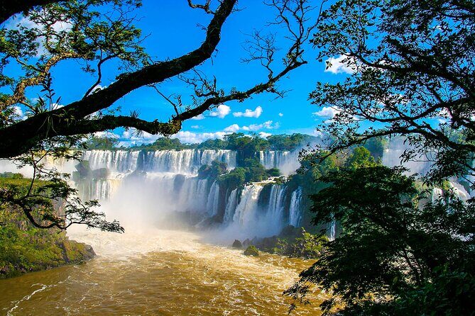 Guided Tour Brazilian Falls and Bird Park Exploration - Exploring the Brazilian Side of Iguazu Falls and Bird Park: A Detailed Review