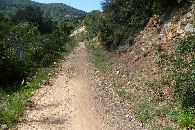 Guided Tour by E-Bike Rio Marina Mining Museum - Who Should Consider This Tour?