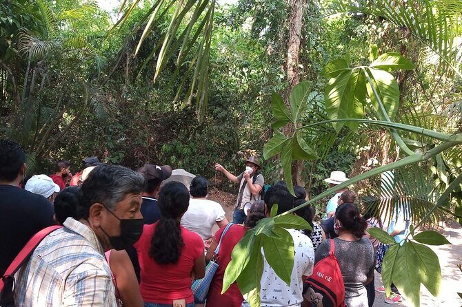 Guided Tour by the Olmec Stone Men - What Makes This Tour Stand Out?