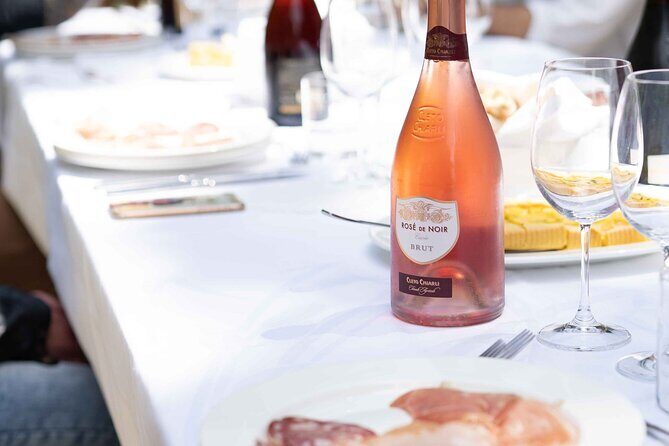 Guided Tour Cleto Chiarli with Lambrusco Tasting - Who Will Appreciate This Tour?