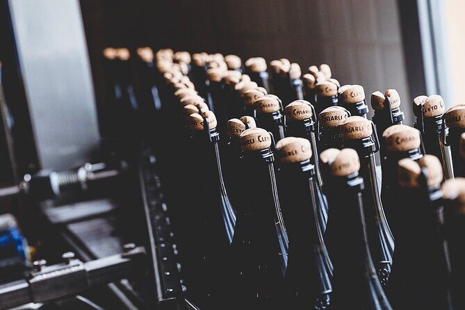 Guided Tour Cleto Chiarli with Lambrusco Tasting - Final Thoughts