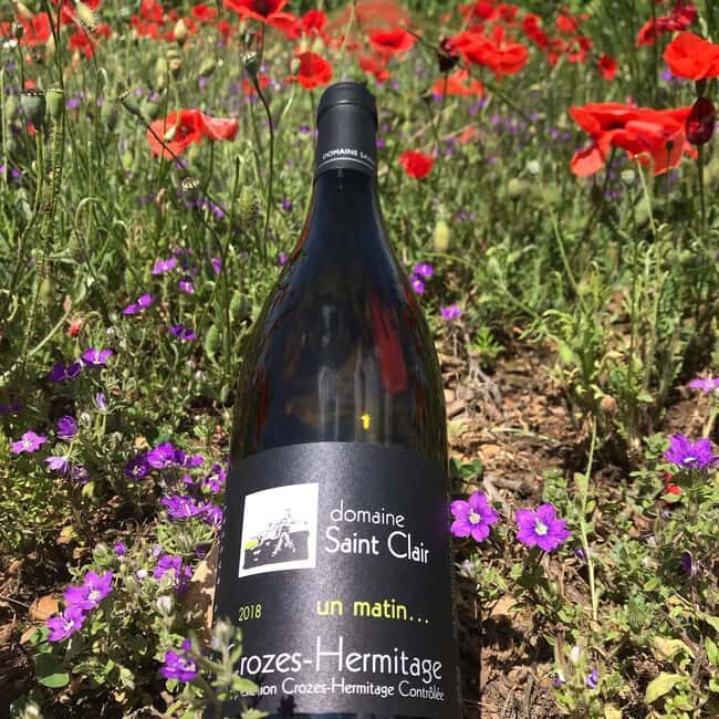 Guided tour & Crozes-Hermitage wine tasting - An In-depth Look at the Experience