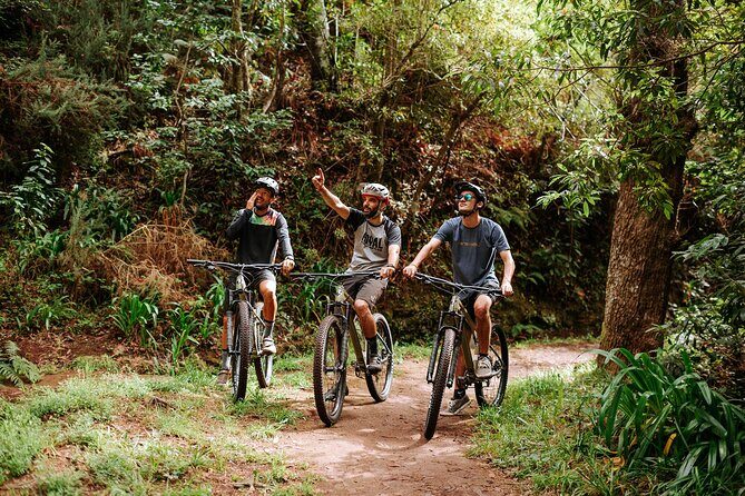 Guided Tour Electric Mountain Bike Experience - Key Points