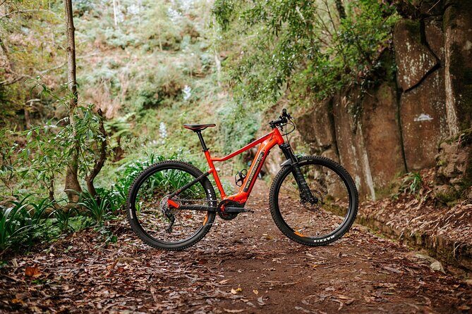 Guided Tour Electric Mountain Bike Experience - Who Will Love This Tour?