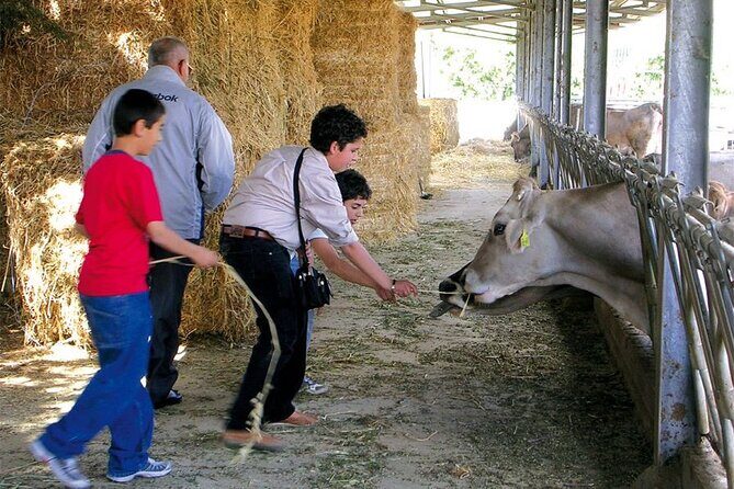 Guided tour from Agrigento: Sicilian traditions with a farm - Final Thoughts