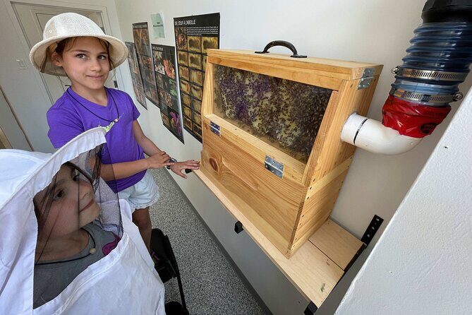 Guided tour « from the bee to the bottle » with tasting - English - Who Will Love This Tour?