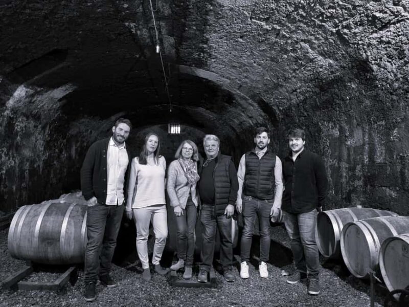 Guided tour from vine to glass - Guided Tour from Vine to Glass: A Detailed Look at This South of France Wine Experience