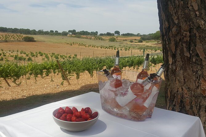 Guided tour glass in hand with wine tasting directly from the barrel - Discover Authentic Wine Tasting in Castile and León: Dominio de Cair