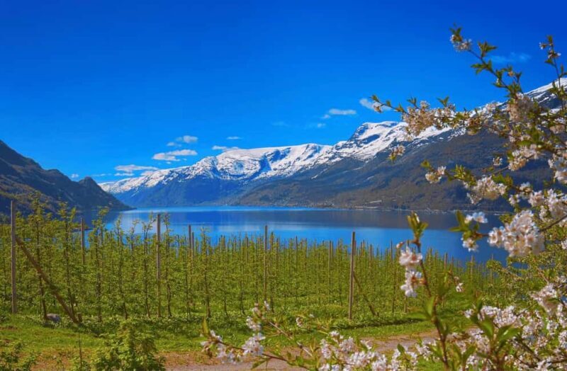 Guided tour: Hardangerfjord, Waterfalls and Ferry crossing - Final Thoughts: Is It Worth It?