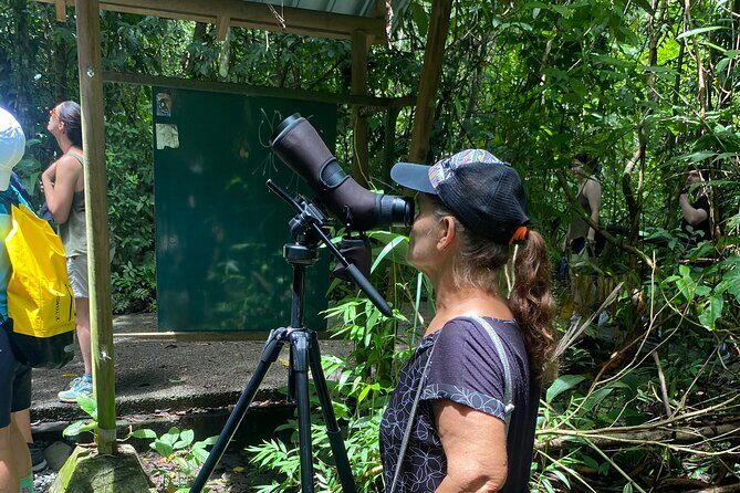 Guided Tour in Manuel Antonio National Park! - The Sum Up
