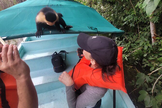 Guided Tour in Sloth Sanctuary and Monkey Island - An In-Depth Look at the Guided Tour in Panama