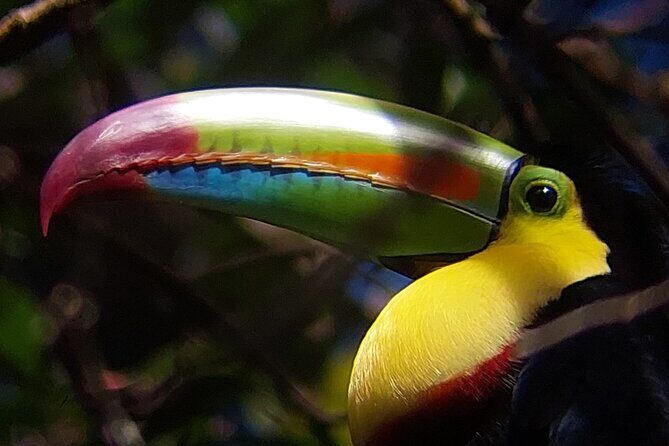 Guided tour in the Curicancha Reserve - Key Points