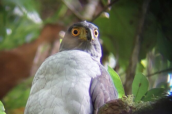 Guided tour in the Curicancha Reserve - Final Thoughts