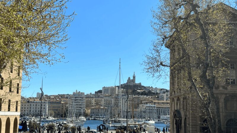 Guided tour in the heart of Marseille! - Final Thoughts
