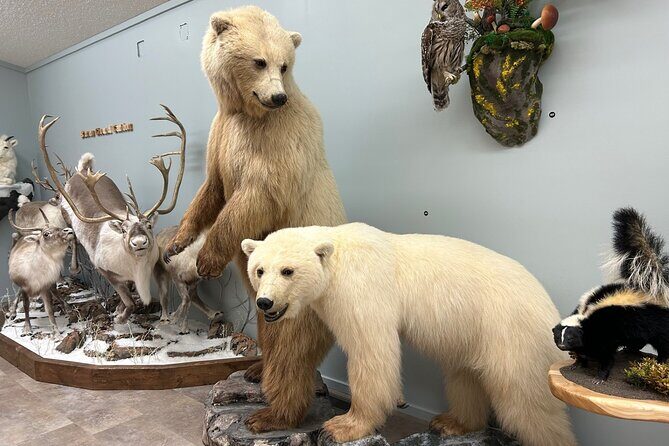 Guided Tour in Wildlife Gallery - Exploring the Wildlife of the North: A Guided Tour at Natures North Wildlife Gallery
