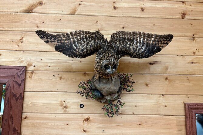 Guided Tour in Wildlife Gallery - Practical Details and Tips for Visiting