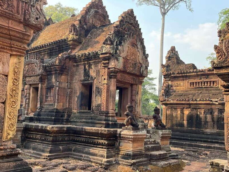 Guided Tour of Angkor Wat, Bayon, Ta Prohm, and Banteay Srei - Guided Tour of Angkor Wat, Bayon, Ta Prohm, and Banteay Srei