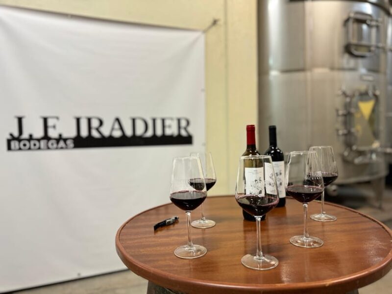 Guided tour of Bodegas J.F. Iradier, Rioja Alavesa - Key Points
