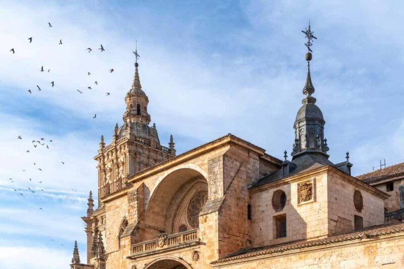 Guided tour of Burgo de Osma (by ECO-BUS) - Exploring Burgo de Osma with the Eco-Bus