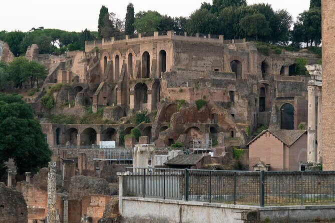 Guided tour of Colosseum, Roman Forum and Palatine hill - Why This Tour Offers Good Value