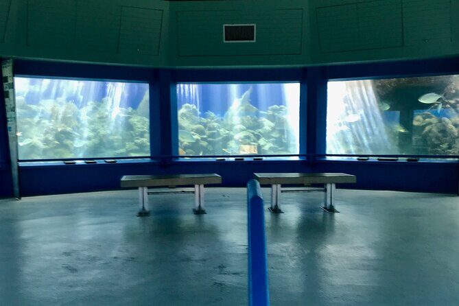 Guided Tour of Coral World Ocean Park & Happy Hour - An In-Depth Look at the Coral World Ocean Park & Happy Hour Tour