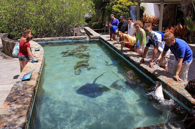 Guided Tour of Coral World Ocean Park & Happy Hour - FAQ: Your Questions About the Coral World Ocean Park & Happy Hour Tour