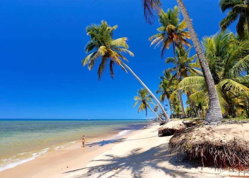 Guided Tour of Espelho Beach: Explore this Paradise - FAQs