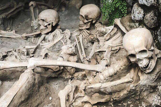 Guided Tour of Herculaneum with Lunch and Ticket Included - Who Would Love This Tour?