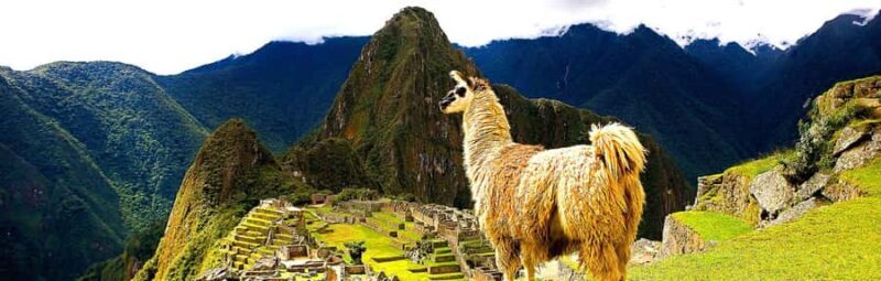 Guided tour of Machu Picchu from Aguas Calientes - A Deep Dive into the Machu Picchu Tour Experience