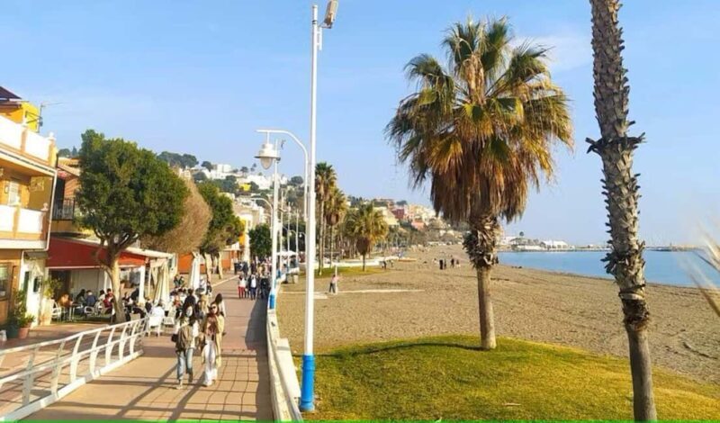 Guided tour of Malaga fishing scene with cooking workshop - Key Points