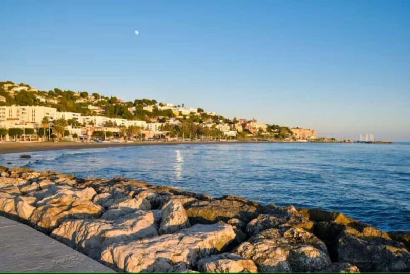 Guided tour of Malaga fishing scene with cooking workshop - An In-Depth Look at the Malaga Fishing Scene Tour