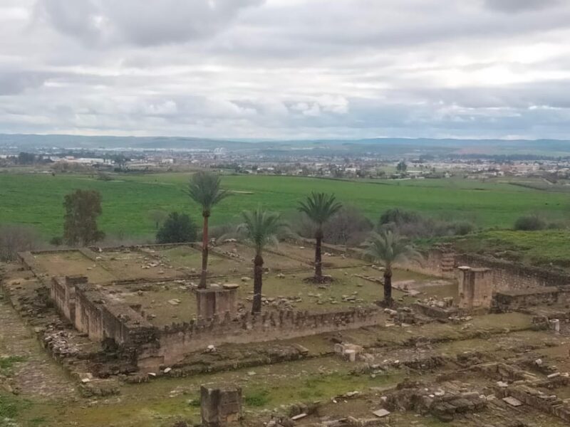 Guided tour of Medina Azahara only in french - Who this tour is best for