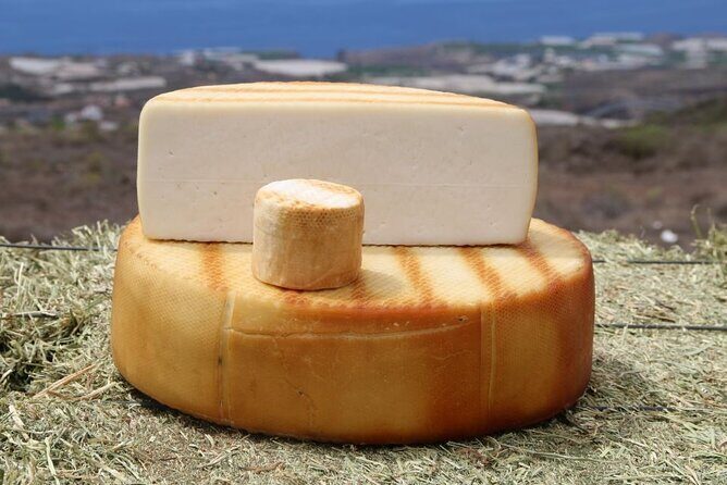 Guided Tour of Montesdeoca Cheese Factory with Cheese Tasting - Final Thoughts