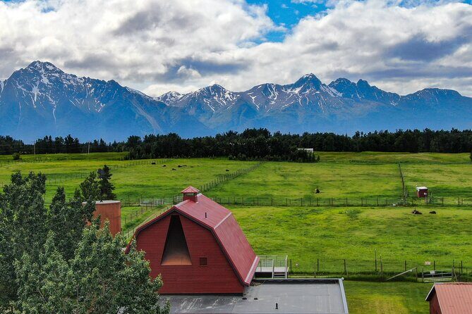 Guided Tour of Musk Ox Farm & Scenic Drive from Anchorage - In-Depth Review of the Tour