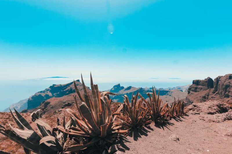 Guided tour of Roques de Garcia - Teide National Park - Guided Tour of Roques de Garcia - Teide National Park