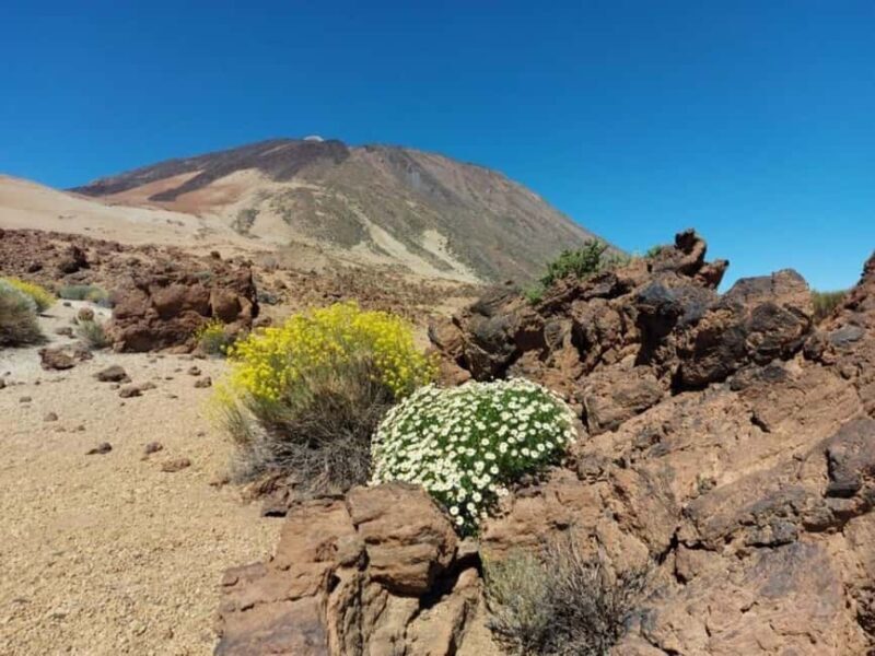 Guided tour of Roques de Garcia - Teide National Park - Key Points