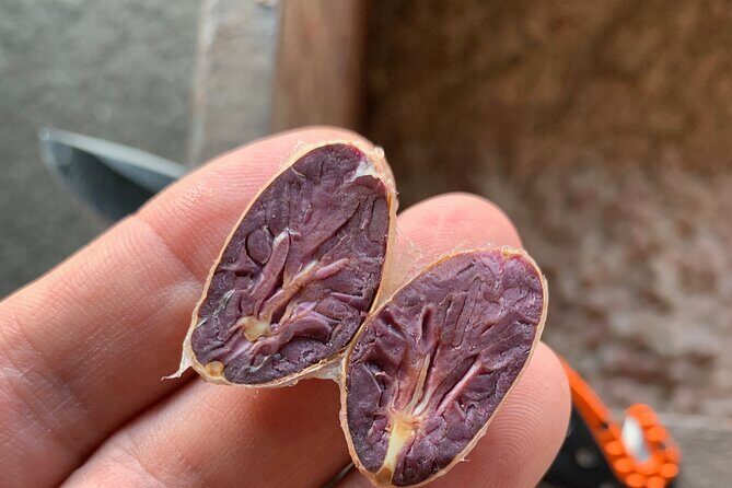 Guided tour of the Artisan Chocolate Factory in Tuscany - The Experience’s Strengths