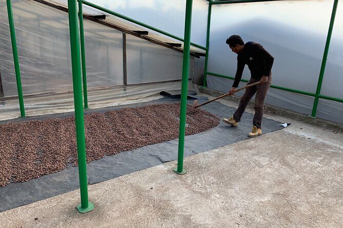 Guided tour of the Artisan Chocolate Factory in Tuscany - Who Will Love This Tour?