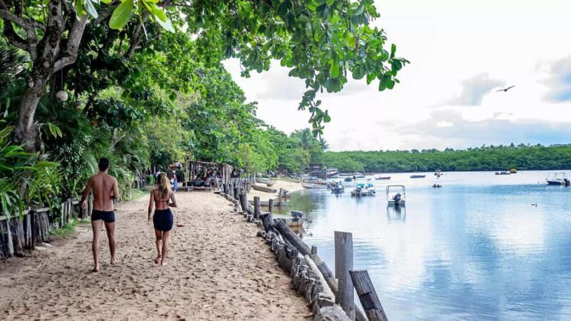 Guided Tour of the Beaches in Caraíva - Porto Seguro - Practical Considerations and Tips