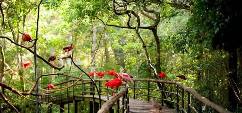 Guided Tour of the Bird Park (VIP) - Who Will Love This Tour?